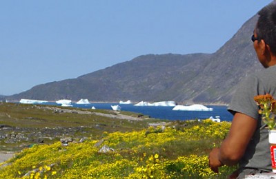 South Greenland, farmer